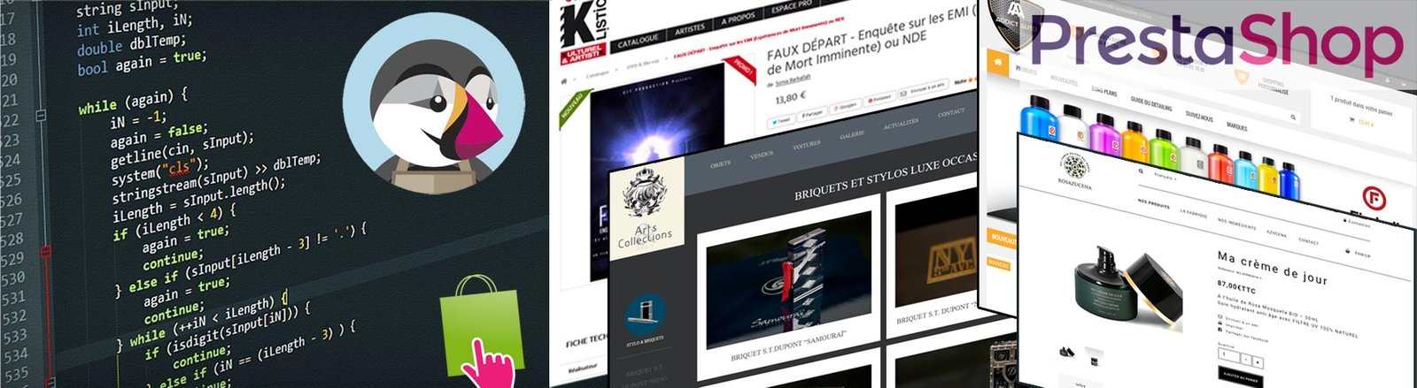 Personnalisation de Thème PrestaShop