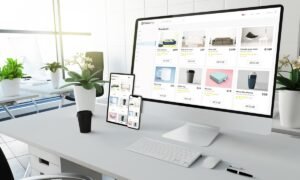 création de sites e-commerce à Natitingou -994