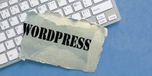 Création de site WordPress - 617